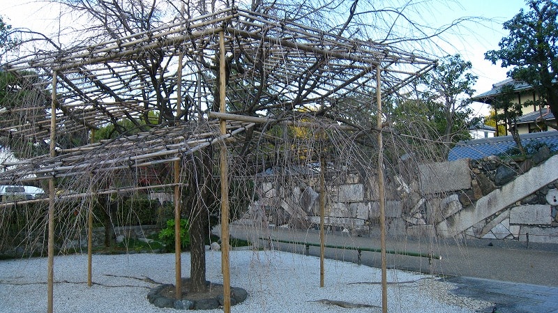 東本願寺 渉成園 秋紅葉 11/26/2010 - 京の四季 名勝散策 写真集 東本願寺 渉成園 秋紅葉 11/26/2010 - 京の四季 名勝散策 写真集