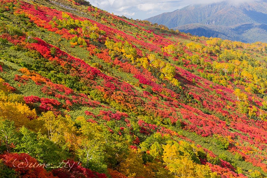銀泉台 赤岳の見事な紅葉 1 Photodiary 北海道の風景写真ブログ