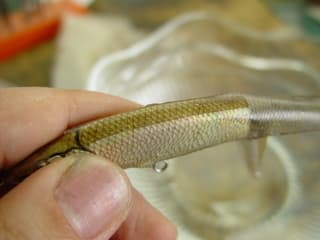 魚皮貼りに挑戦 真木ルアー製作日記 魚皮貼りに挑戦 真木ルアー製作日記