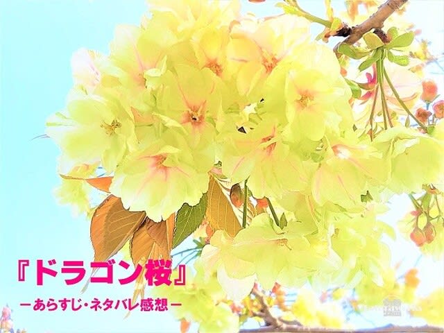 『ドラゴン桜』あらすじ・ネタバレ感想