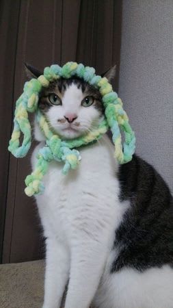 15年もよろしく byなめ吉 なめ吉 くいしんぼうな生活