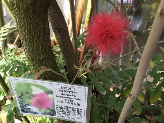 イメージ 6