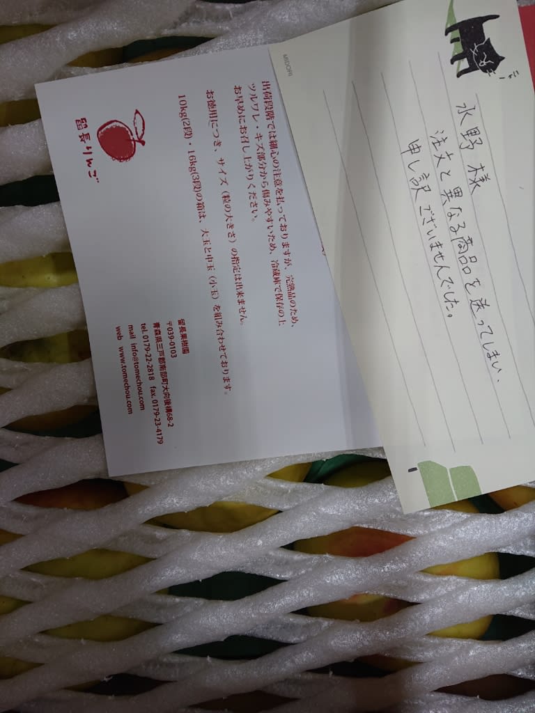 ドラマから学ぶ わたし 失敗しちゃった やすみっこ2 ドラマから学ぶ わたし 失敗しちゃった やすみっこ2