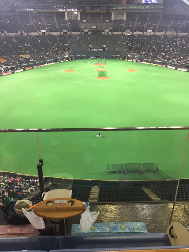 札幌ドームのファミリーシート 日記塊 77と97に関する幾つかの考察 札幌ドームのファミリーシート 日記塊 77と97に関する幾つかの考察