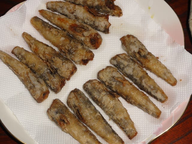 Mehikari Mehikari