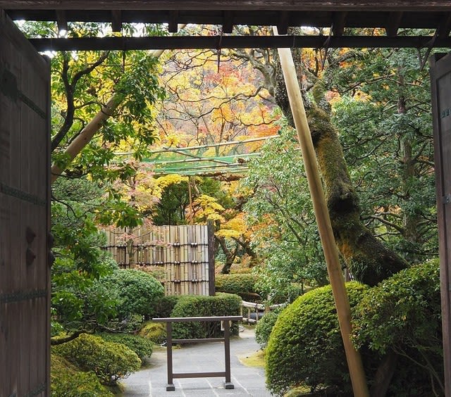 にしさんの花日記 紅葉 日光輪王寺庭園 逍遙園 にしさんの花日記 コスモス畑