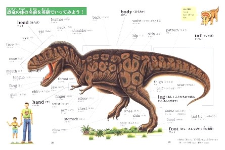 恐竜の体の名前を英語で 恐竜だいす記