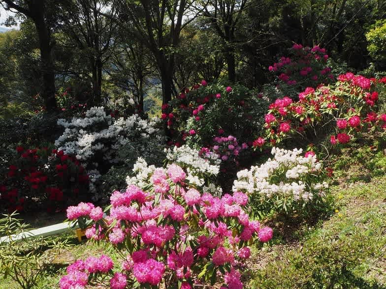 ブックスタンド Katana ブックエンド Li 159 インテリア雑貨