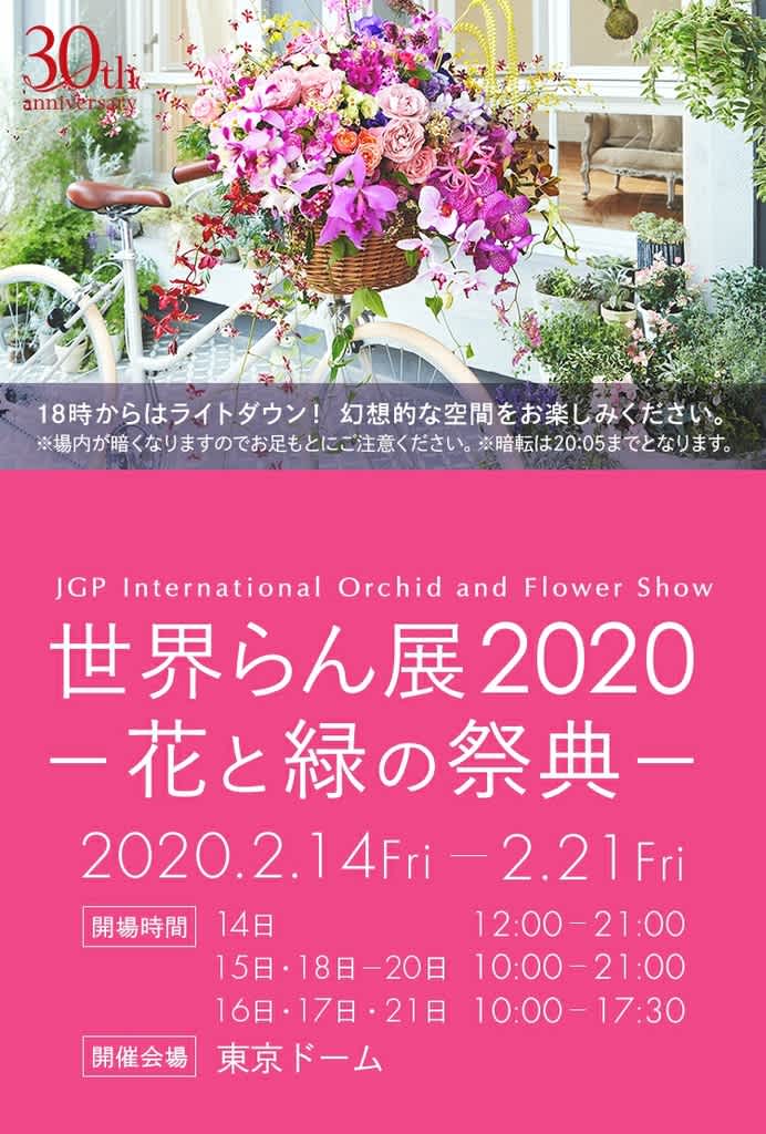 世界らん展 2020 花と緑の祭典東京ドーム 気まぐれ日記