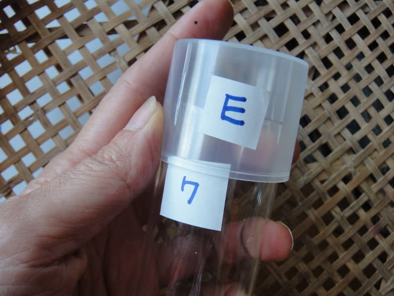 実験用ガラス容器をスパイスボトルとして使う