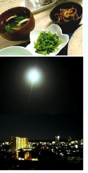 春、朧月夜
