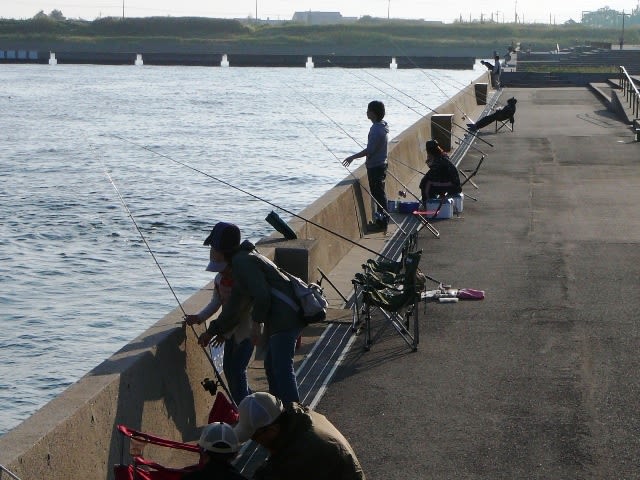 海釣り公園大賑わいの画像