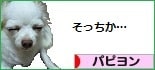 にほんブログ村 犬ブログ パピヨンへ