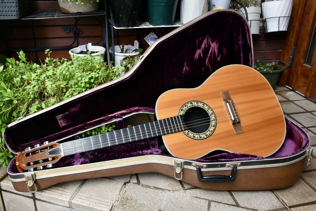 Ovation Country Artist 1624-4/#006024:1972年製 Ovation Country Artist 1624-4/#006024:1972年製
