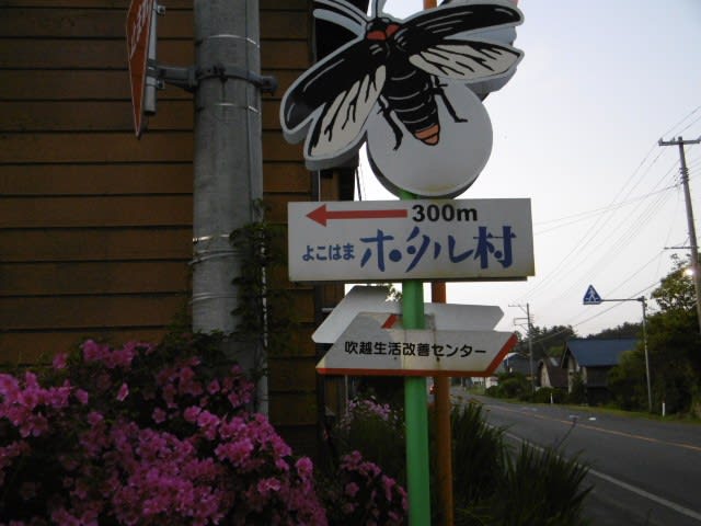 横浜町吹越 ほたる祭り 下北半島とのんびりオートバイ