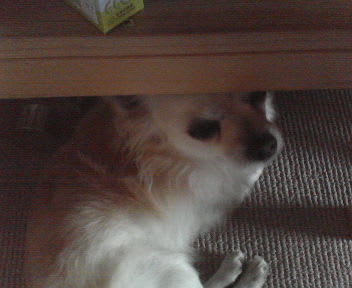 CHOKO