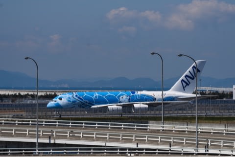 空とぶウミガメ エアバス A390 Ana 1号機の慣熟飛行で関空へ 着陸シーン No 1 福ちゃんの散歩道 Iphone Proで遊ぶ