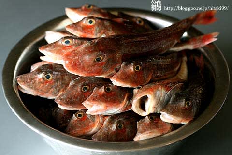 パーティーの準備 鏡面界 魚食系女子の気まぐれ雑記帖