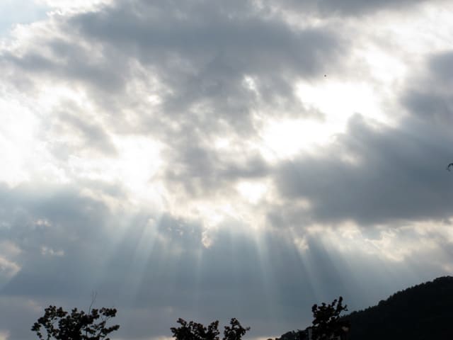 天使の通り道 私の青空 彡