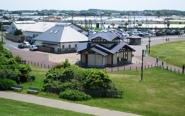 鹿島灘海浜公園とハマナス 顎鬚仙人残日録