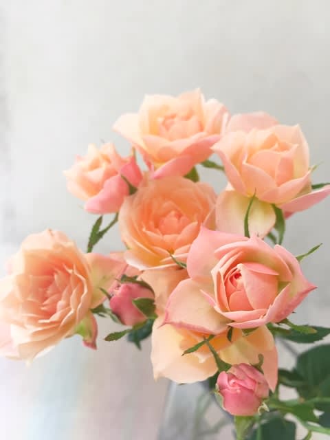オレンジドット 花のある生活 オレンジドット 花のある生活