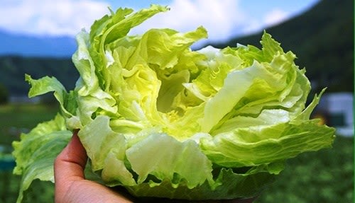 極東極楽 ごくとうごくらく