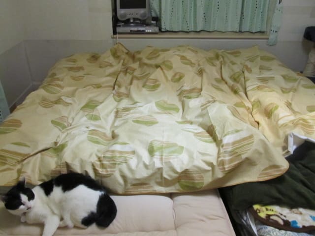 イメージ 3