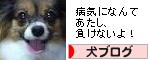 にほんブログ村 犬ブログへ