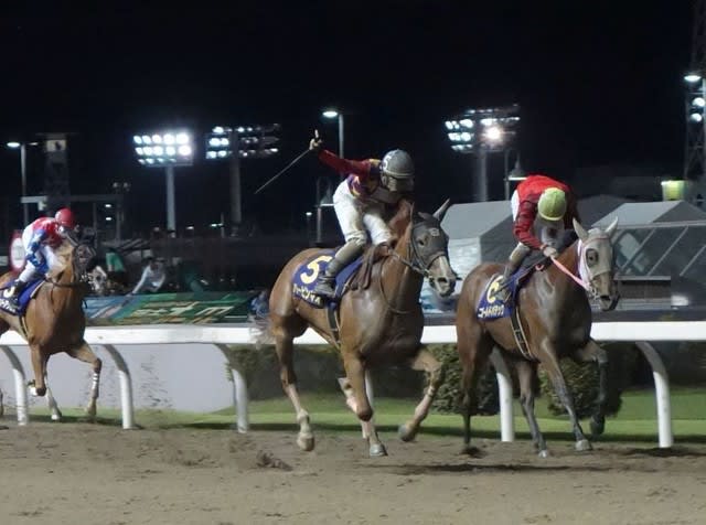 第54回 関東オークス 殿 しんがり 追走ハラヤマジツコ 第54回 関東オークス 殿 しんがり 追走ハラヤマジツコ