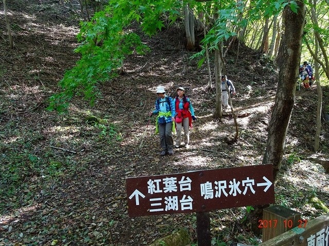 好天に恵まれて 青木ヶ原樹海周遊 ウマさんの気ままな行動日記 その2 好天に恵まれて 青木ヶ原樹海周遊 ウマさんの気ままな行動日記 その2