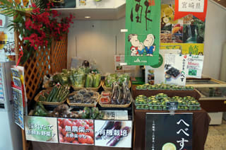 新宿みやざき館konne 宮崎県 東京で小旅行 東京のアンテナショップめぐり