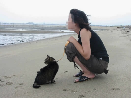 海を眺める姫と猫ドン