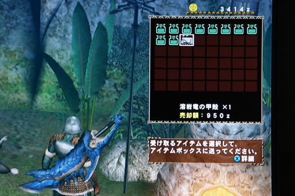 シンボルカラーと黒猫について ダイヤモンドダスト モノブロス討伐ソロクエスト Ri7beatのブログ Mhf狩猟生活ｚ