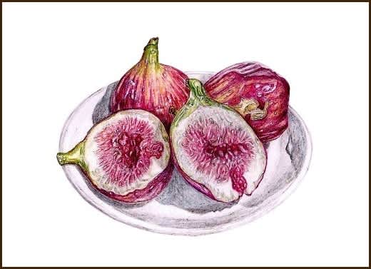 油彩画/イチジク 油彩画/イチジク Yahoo!オークション -「イチジク」(油彩) (絵画