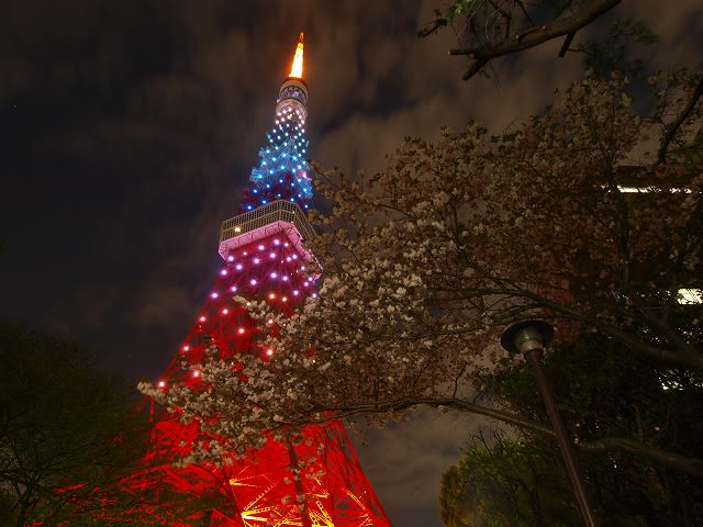 コブクロ 東京タワー 初心者の写真