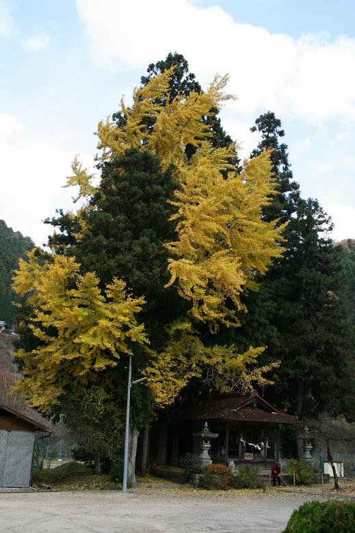 一路長野県下伊那郡への画像