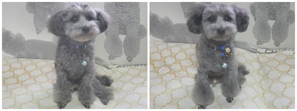 すわって