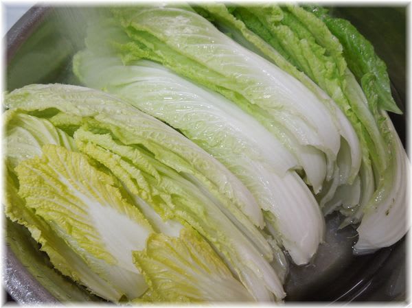 晩輝120白菜