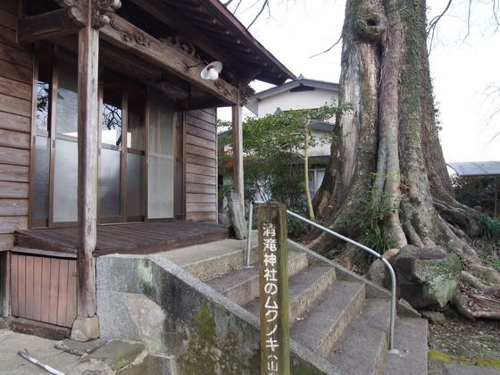 山鹿城跡 大宮神社 加藤神社 熊本から気ままに山と自転車のブログ