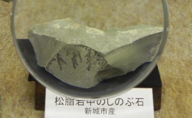 FM131_02 海さち山さち◇鳳来寺山自然科学博物館 (Ⅱ) 2022年02 FM131_02 海さち山さち◇鳳来寺山自然科学博物館 (Ⅱ) 2022年02