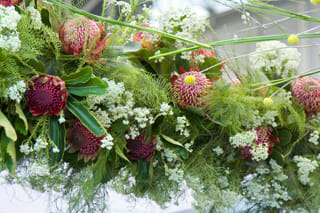 輸入の花 気になる植物たち