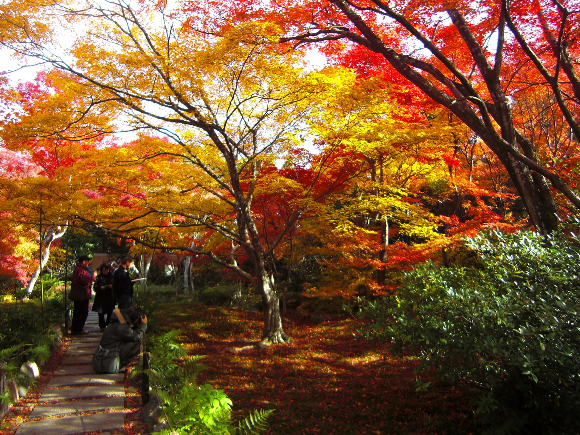 13年11月のブログ記事一覧 京都で定年後生活
