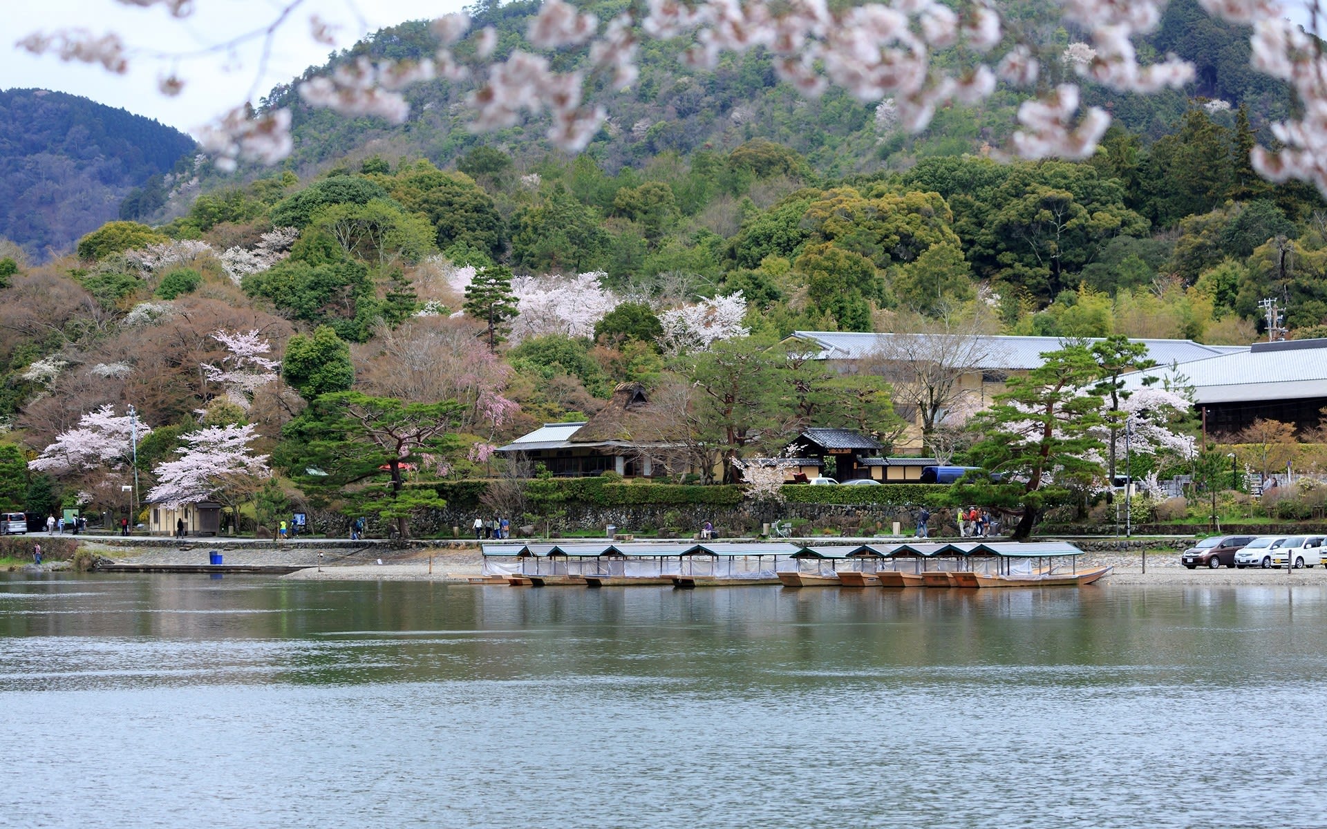 17年春の京都 嵐山の壁紙その2 計10枚 壁紙 日々駄文
