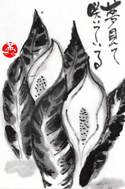 絵手紙出しました-水芭蕉-」について考える - 団塊オヤジの短編 絵手紙出しました-水芭蕉-」について考える - 団塊オヤジの短編