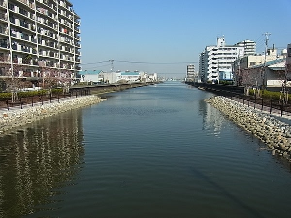 バス釣り中川から花畑運河 たま にバス釣り日和