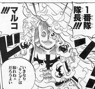 勝手に ｏｎｅ ｐｉｅｃｅ の実写化を考えてみた その６ Dr でぶ ブログ でぶログ