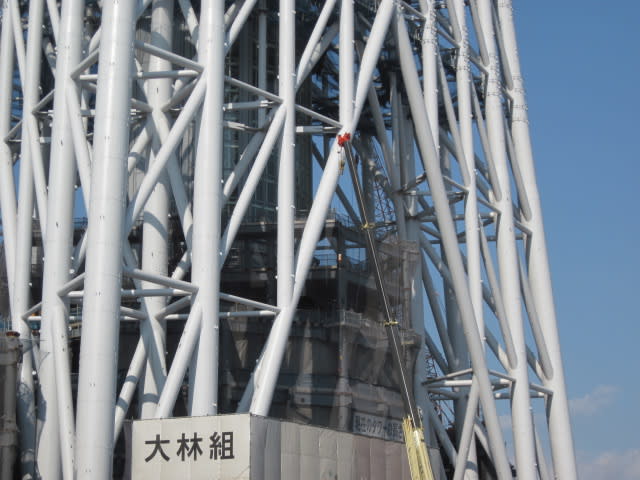 イメージ 5