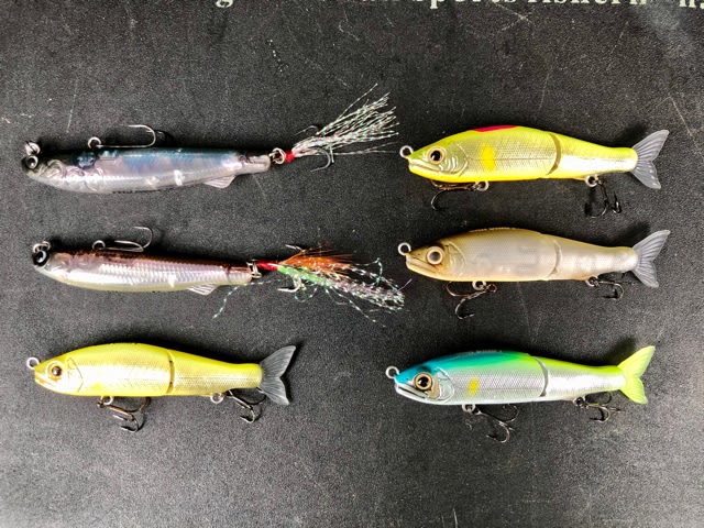釣り欲 バス釣りハンターハンター