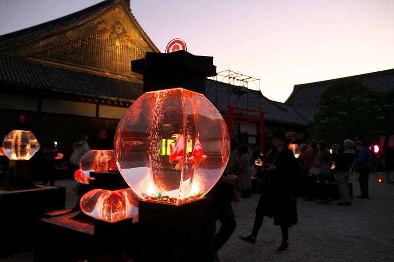 二条城アートアクアリウム城 気まぐれ 花 旅日記