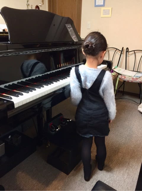 カニ 神奈川県茅ヶ崎市東海岸南のピアノ教室 山口英里子ピアノ教室のブログ